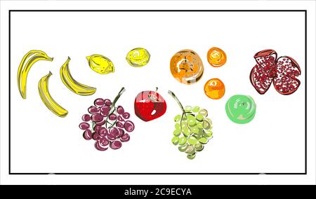 Apples, grapes, bananas, lemons, citruses, oranges, pomegranate. Vegan. Vegetation.Color illustration of isolated fruits on a white background. Stock Vector