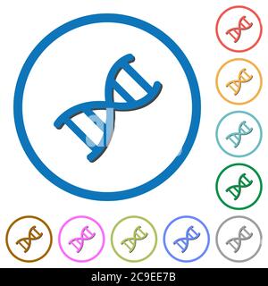 DNA molecule flat color vector icons with shadows in round outlines on white background Stock Vector
