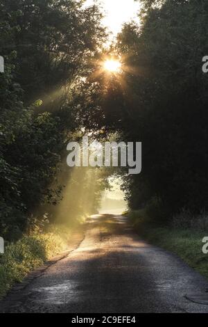 Barnard Castle, Teesdale, County Durham, UK. 31st July 2020. UK Weather. It was a dry and very warm start to the day with temperatures expected to reach around 33 degrees in some parts of the UK. Credit: David Forster/Alamy Live News Stock Photo