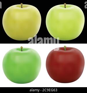 Realistic apple illustration in 4 colors. Stock Vector