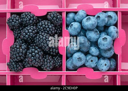 Blueberries and blackberries in a paper box, pink background. Market food product, top view Stock Photo