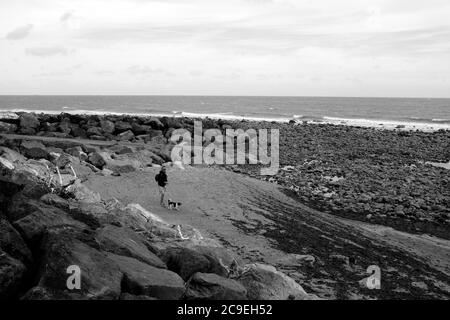 Man walking dog on lead at Steephill Cove Isle of Wight Stock Photo