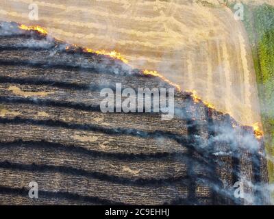 Burned mowing of straw in the field, air pollution due to burning of plant remains, burning of grass and destruction of nature. Stock Photo