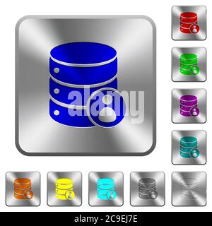 Database privileges engraved icons on rounded square glossy steel buttons Stock Vector