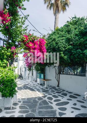 Colorful houses, blue and red doors and windows and lots of flowers in the old town of Mykonos Island, Greece. Stock Photo