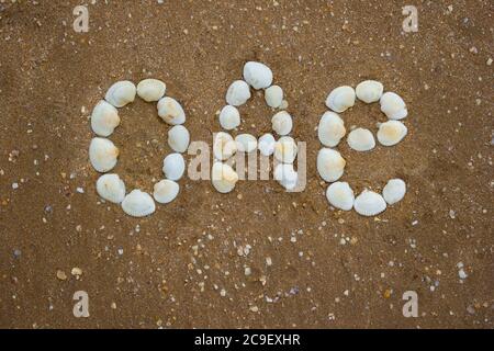 Inscription on the sand from shells - uae, oae, camping, tourism Stock Photo