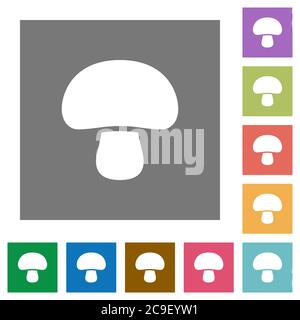 Mushroom flat icons on simple color square backgrounds Stock Vector