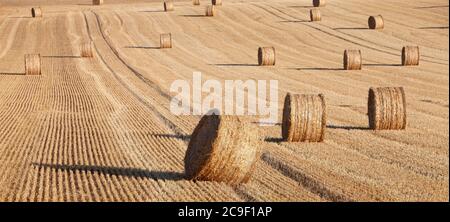straw bales in rolling hills of northern france under blue sky Stock Photo