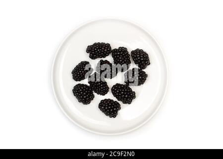 Blackberries on a white plate on a white background in a top view Stock Photo