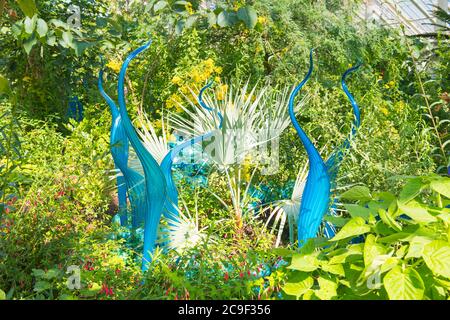 Kew Royal Botanical Gardens iconic Dale Chihuly Reflections Exhibition colourful glass sculptures sculpture art Turquoise Marlins Temperate House Stock Photo