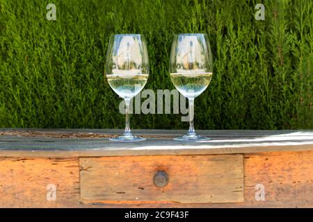 Two glasses of white wine on a rustic wooden table with a cypress tree behind Stock Photo