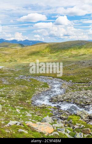 Mountain stream in the wilderness Stock Photo