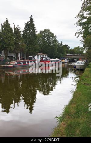Canal Boats moored at Willowbridge Marina on the Grand Union Canal at Stoke Hammond, Milton Keynes