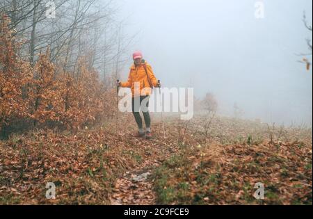 Dressed bright orange jacket young female backpacker walking by the touristic path using trekking poles in autumn foggy forest. Active people and autu Stock Photo