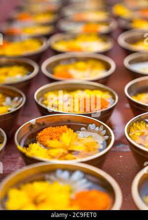 Buddhist flower offerings or gifts in bowls and rows. Buddhism religion offering in a temple Stock Photo