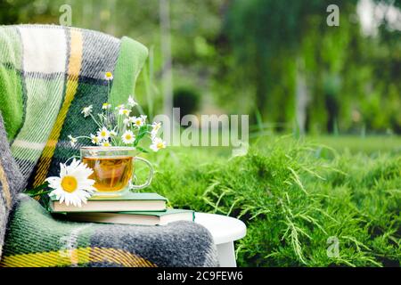 Glass cup of herbal tea with chamomile flower on books, warm green plaid on table outdoor. Cozy home, nature background in garden. Copy space Stock Photo