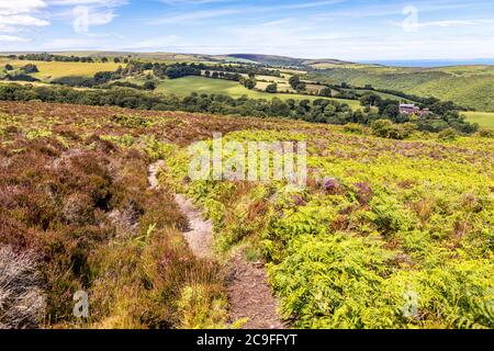 Exmoor National Park - The view towards Cloutsham from the path on Dunkery Hill leading to Dunkery Beacon, Somerset UK Stock Photo