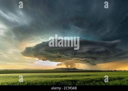 Panorama of a massive mesocyclone weather supercell, which is a pre-tornado stage, passes over a grassy part of the Great Plains while fiercely trying Stock Photo