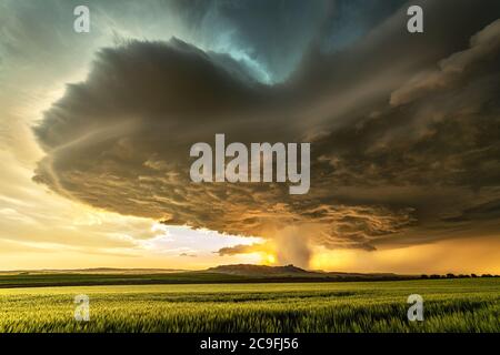 Panorama of a massive mesocyclone weather supercell, which is a pre-tornado stage, passes over a grassy part of the Great Plains while fiercely trying Stock Photo