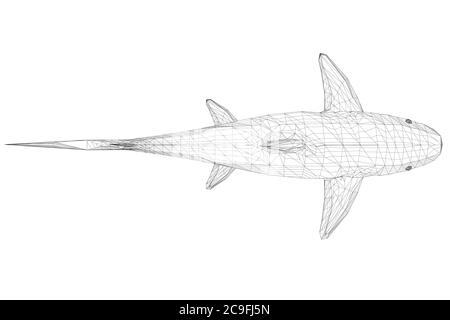 Wireframe low poly blue shark. 3D. View from above. Vector illustration. Stock Vector