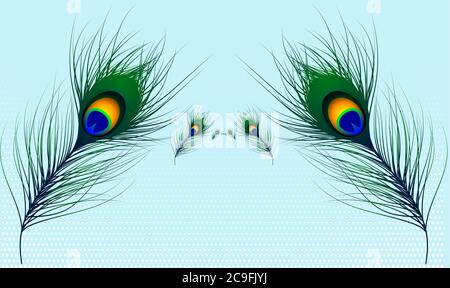 vector design of peacock hair on light abstract backgrounds Stock Vector