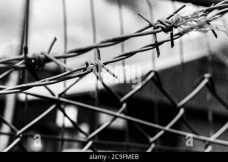 Barbed wire on a fence in the sun. Stock Photo