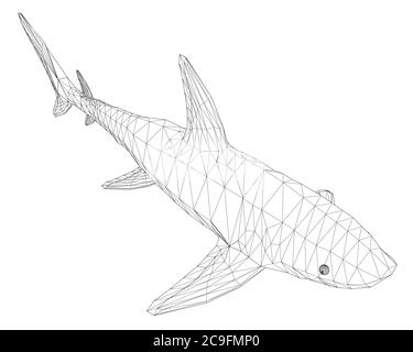 Wireframe low poly blue shark. 3D. Isometric view. Vector illustration. Stock Vector