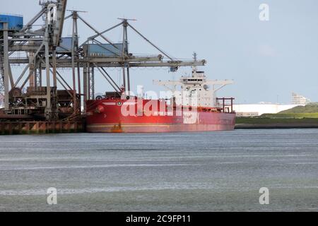 The bulk carrier Berge Olympus will be unloaded in the port of Rotterdam on July 3, 2020. Stock Photo