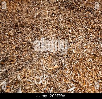Pile of wood chips Stock Photo