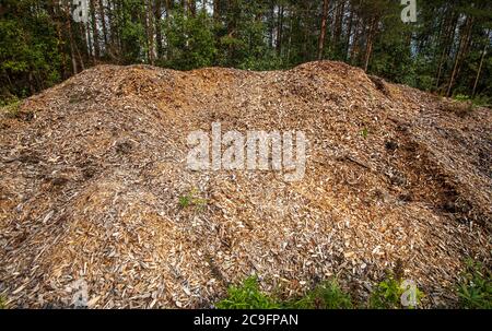Pile of wood chips , Finland Stock Photo