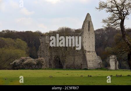 The ruins of Newark Priory near Pyrford in Surrey, in a meadow adjacent to the river Wey Stock Photo