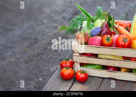 Fresh eco vegetables and fruit on wooden crate or box on rustic table in a garden. Space for text Stock Photo