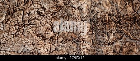 Old paper background. Abstract brown grunge paper texture. Banner Stock Photo