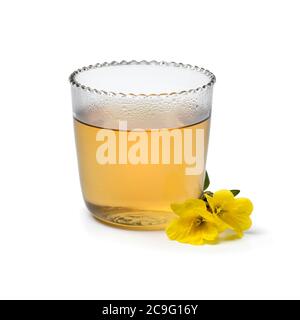 Glas cup with hot evening primrose tea and fresh yellow flowers isolated on white background Stock Photo
