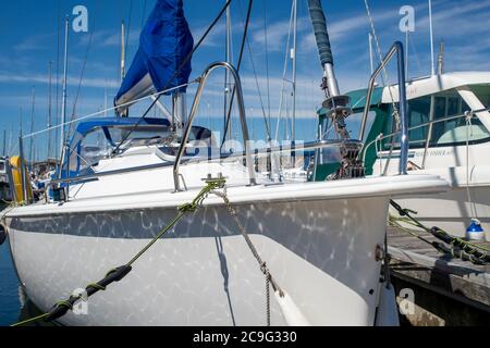 Bow of a sailing yacht moored in a marina. Ropes and sails. Stock Photo