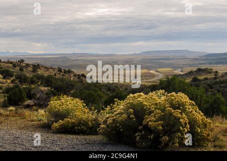 View over the hills of west Colorado, USA, from a viewpoint on the I-70 at the state boundary, on a cloudy morning with rabbit bush in bloom in the fo Stock Photo
