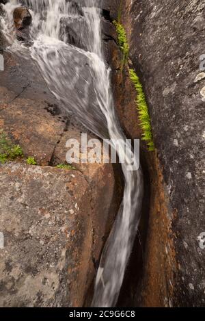 A stream had worn a curvy channel through bedrock on its way down to a marsh and muskeg in nothern Ontario. Stock Photo