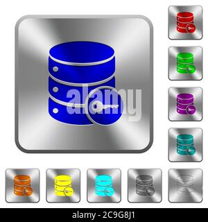 Secure database engraved icons on rounded square glossy steel buttons Stock Vector