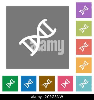 DNA molecule flat icons on simple color square backgrounds Stock Vector
