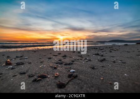 Shells and pebbles on the beach at sunset. Sardinia, Italy Stock Photo