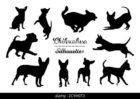 Chihuahua dog silhouettes. Black and white outline Stock Vector