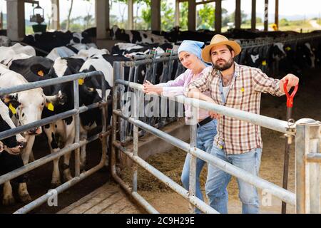 Positive young man and woman owners of dairy farm standing in stall on background with herd of cows Stock Photo