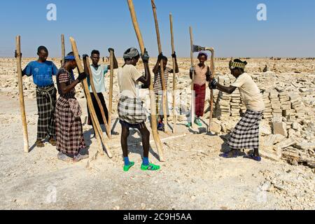 Traditional mining of salt at the Assale Salt Lake, near Hamadela, Danakil Depression, Afar Region, Ethiopia Stock Photo