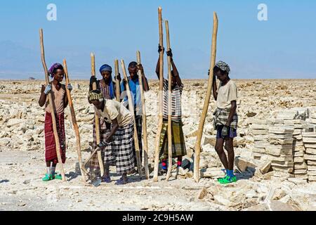 Traditional mining of salt at the Assale Salt Lake, near Hamadela, Danakil Depression, Afar Region, Ethiopia Stock Photo