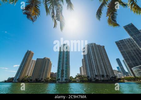 Skyscrapers in downtown Miami seen from the river walk. Southern Florida, USA Stock Photo