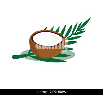 Brown coconut isolated on white background. Stock Vector
