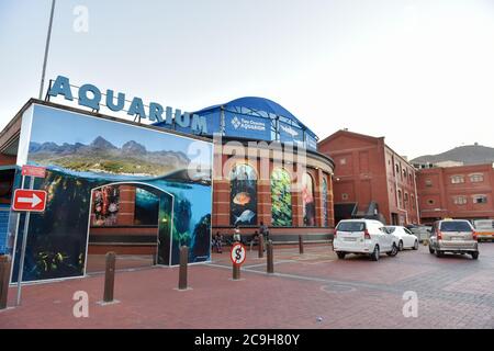Two Oceans Aquarium is one of the top attractions at the V&A waterfront, Cape Town, South Africa Stock Photo
