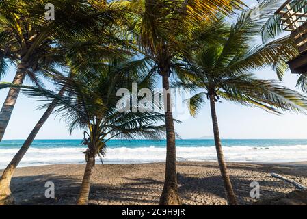 Dark sand in Grand Anse beach in Guadeloupe, French west indies. Lesser