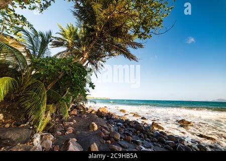 Dark sand in Grand Anse beach in Guadeloupe, French west indies. Lesser
