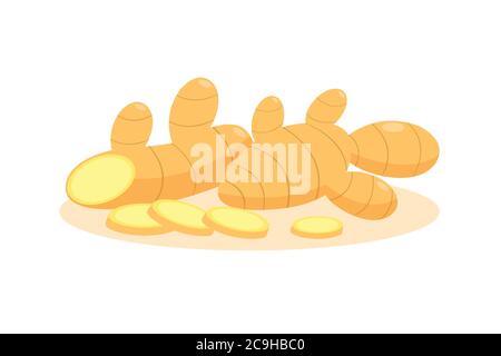 Ginger and sliced ginger isolated on white background. Stock Vector